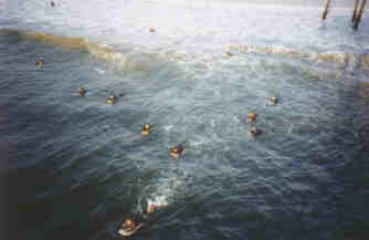 surfistas_los_angeles